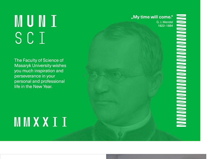 Newsletter for employees