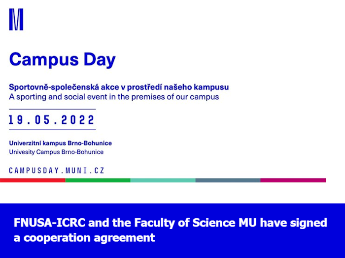 Newsletter for employees