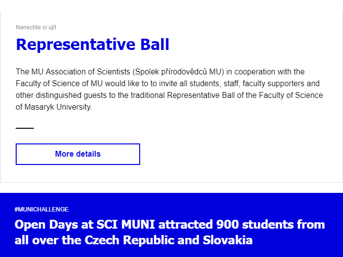 Newsletter for employees