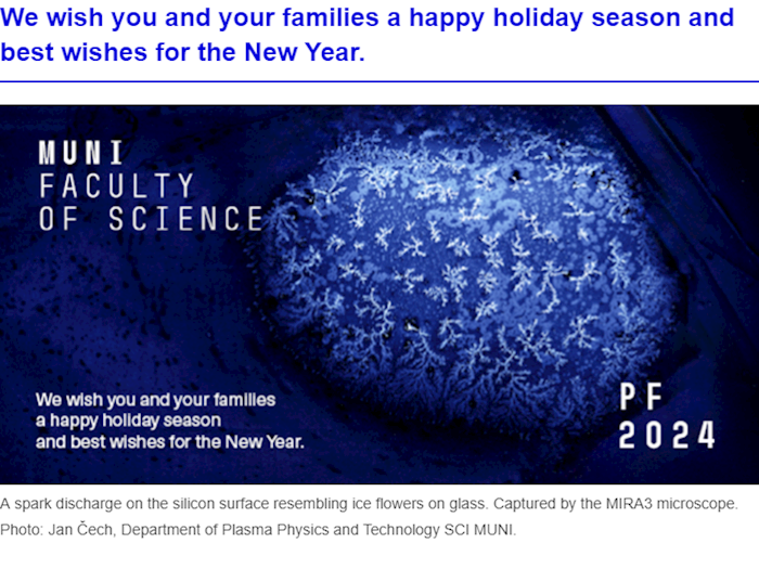 Newsletter for employees